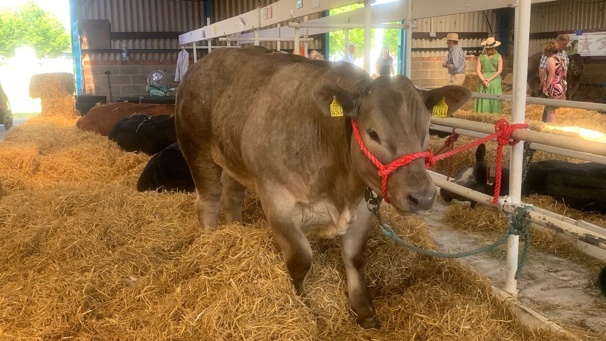 The Lincolnshire Show returns for 2026