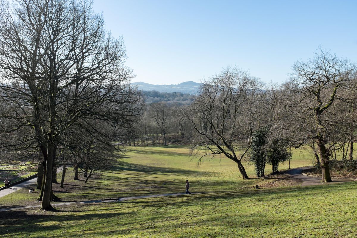 Police appeal graphic relating to Haden Hill Park