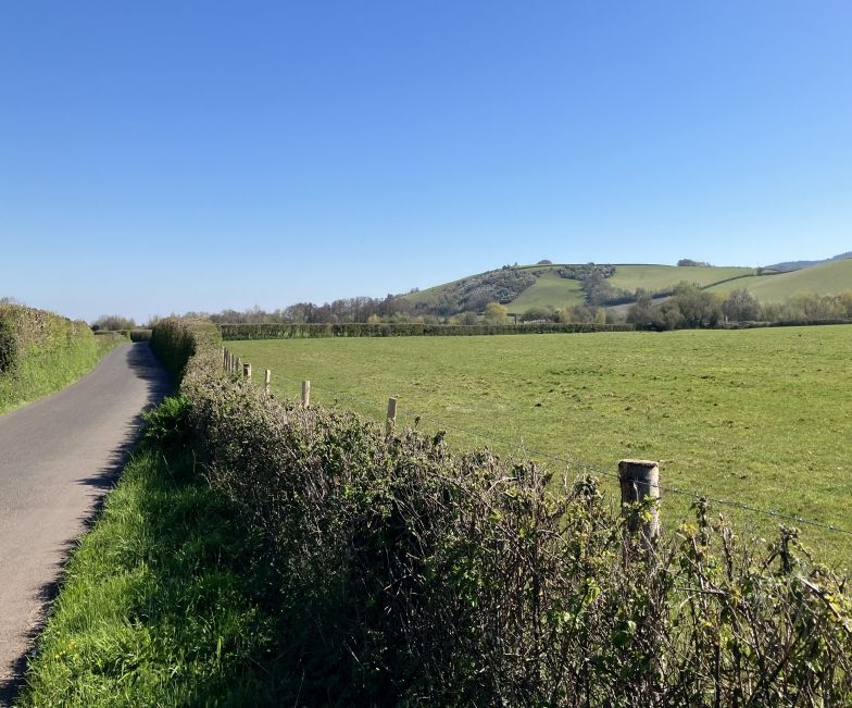Exciting New Cycle Routes Approved to Enhance Access in Somerset