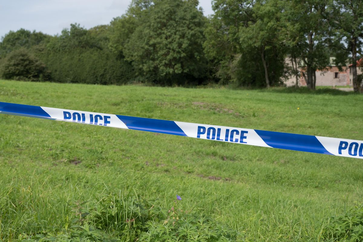 Light aircraft crashes in Essex field
