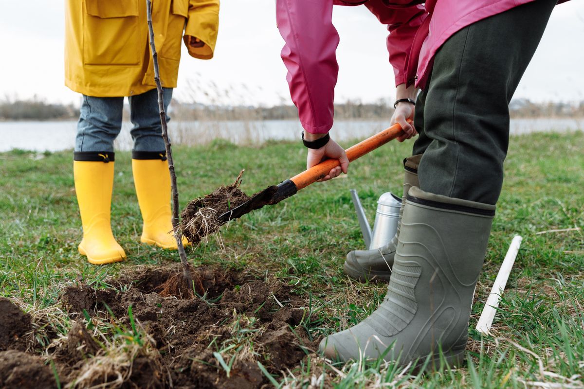 Communities to get tree planting boost as funding scheme doubles to £2.5m