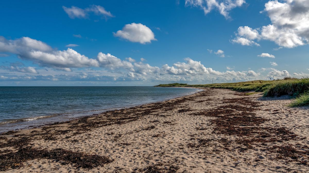19-year-old feared dead as search continues off Northumberland coast