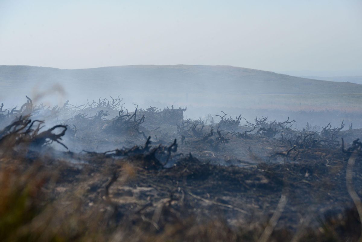 Major incident stood down as Conwy Mountain wildfire evacuees allowed home
