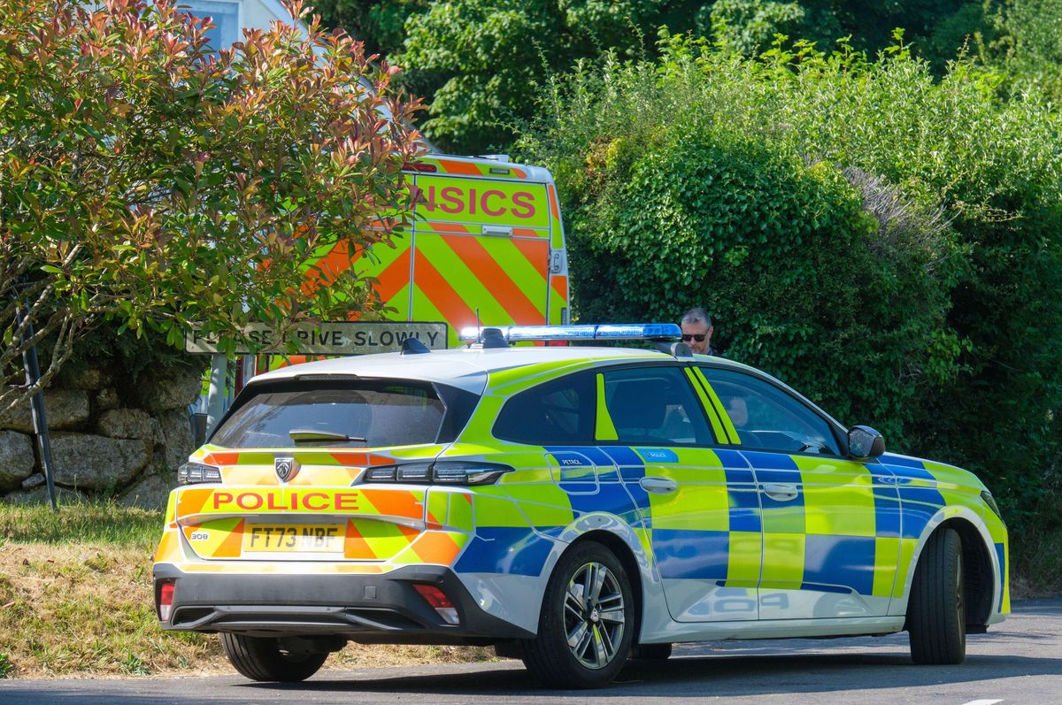 Prime Minister says more needs to be done to defend democracy after Ann Widdecombe suspected murder