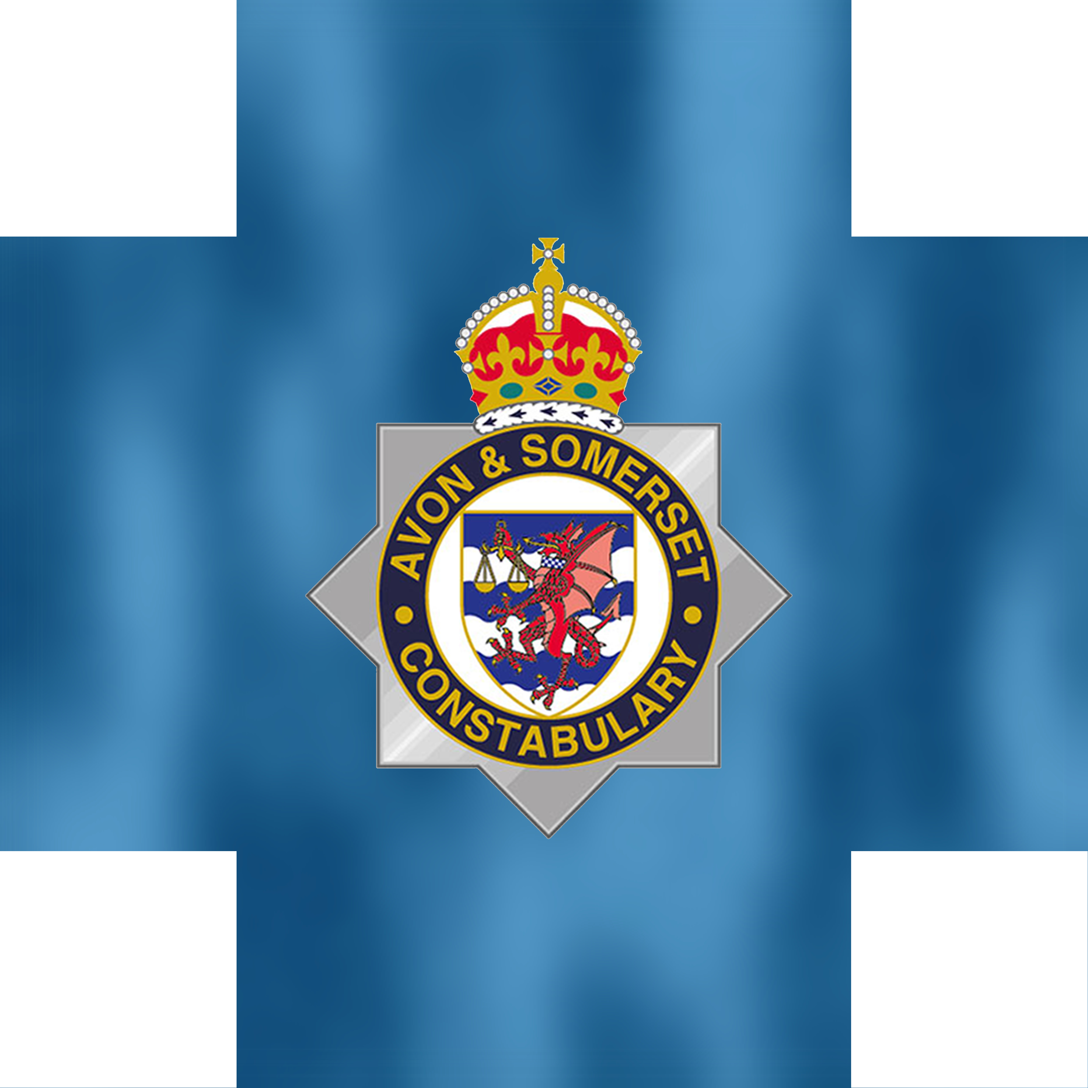 Woman in 80s in hospital after dog attack in Taunton park