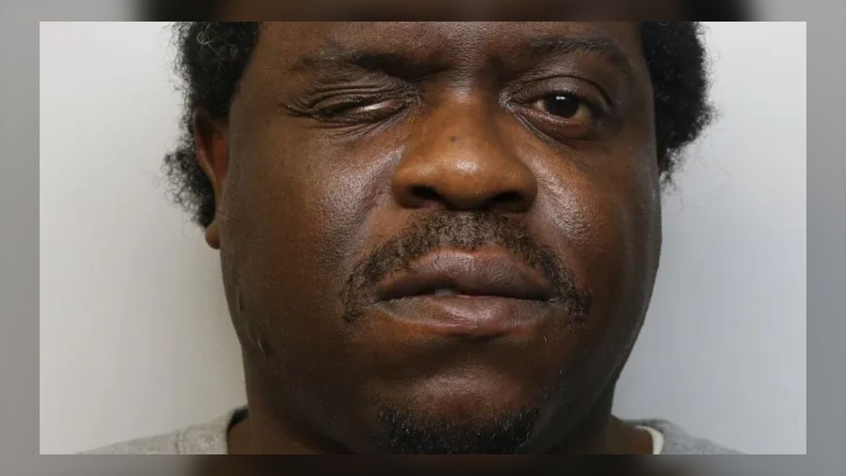 British Transport Police detectives under investigation after bailed serial sex offender killed and assaulted women in London