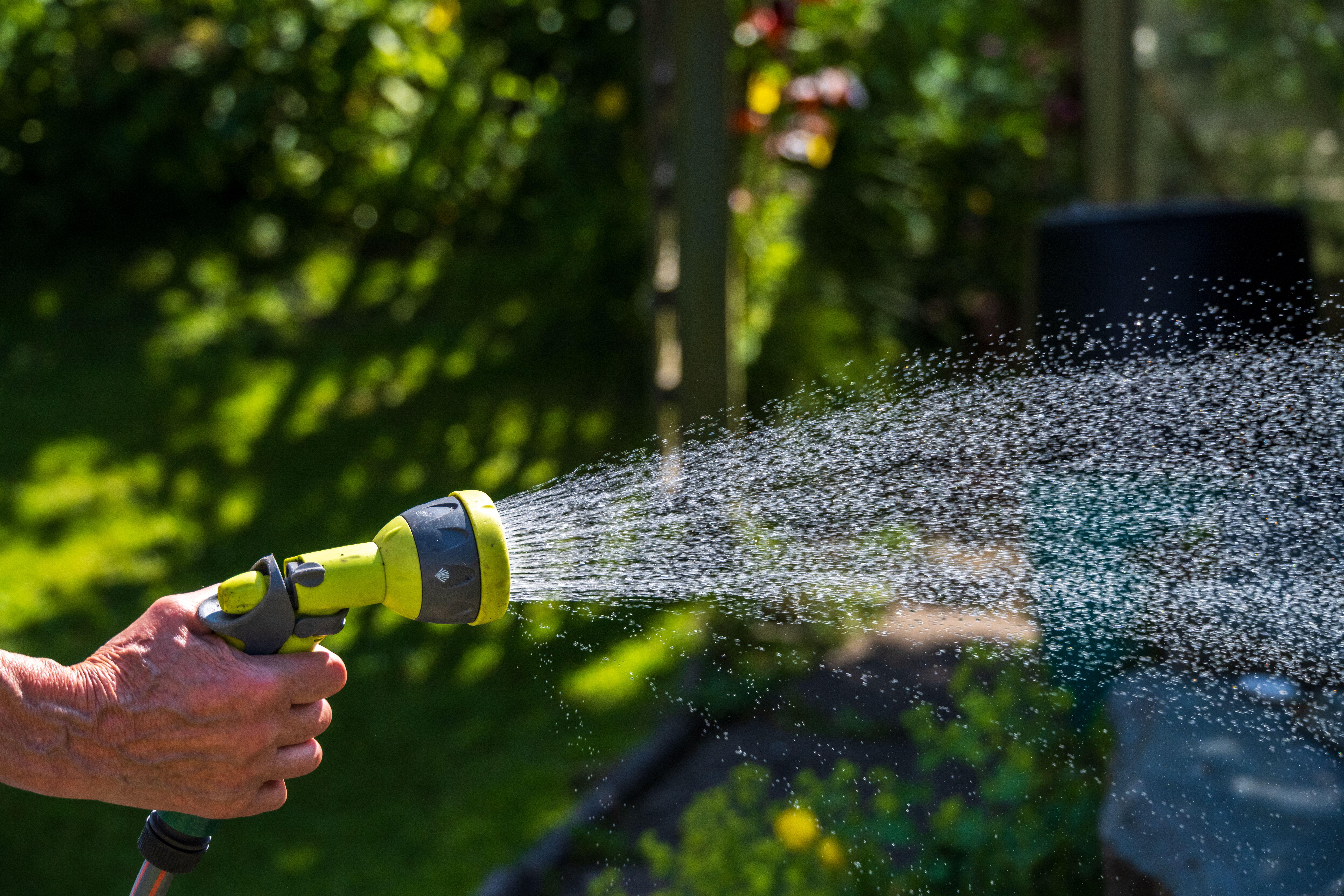 Cholderton Water introduces hosepipe ban