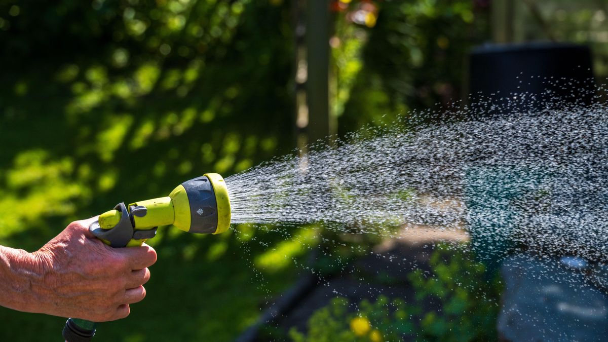 Cholderton Water introduces hosepipe ban