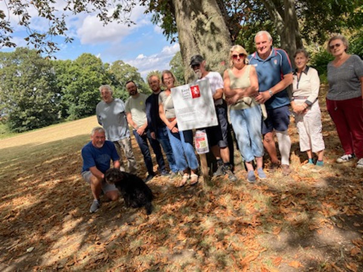 Residents ask Kent County Council for park sell-off reprieve