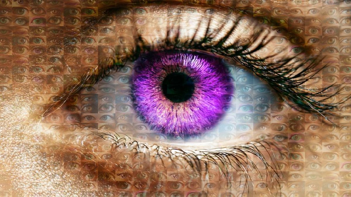 Biggest Rife When does Big Brother start?