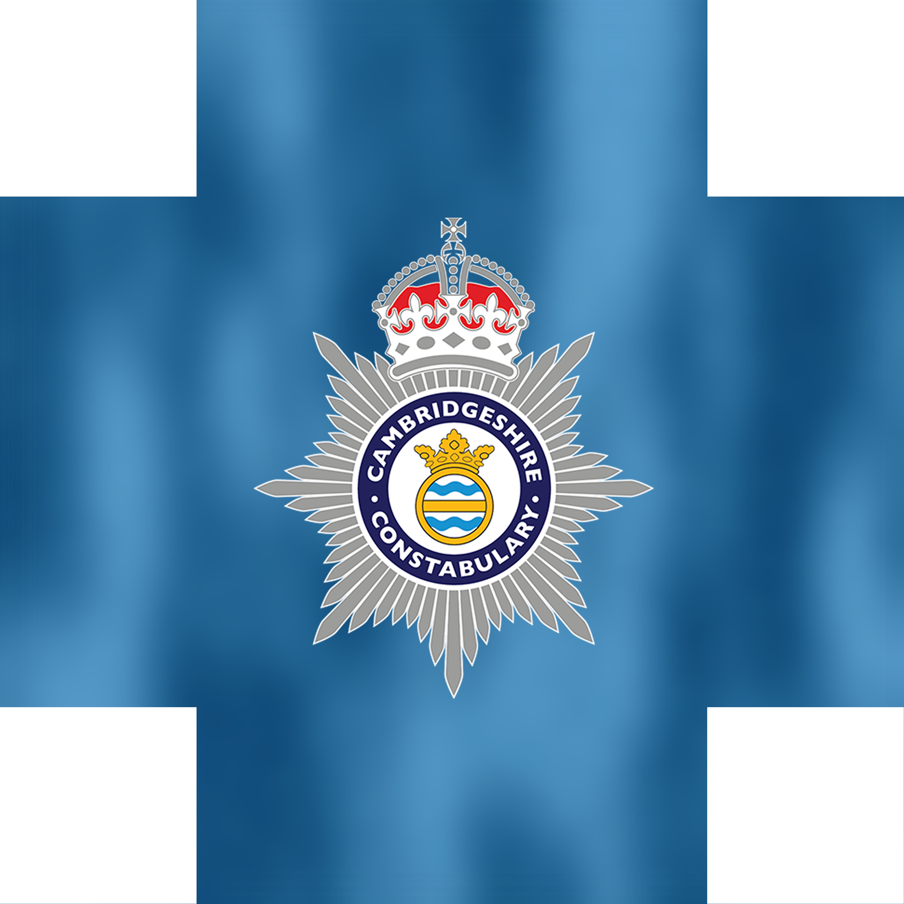 Driver crashes car into family and flees the scene