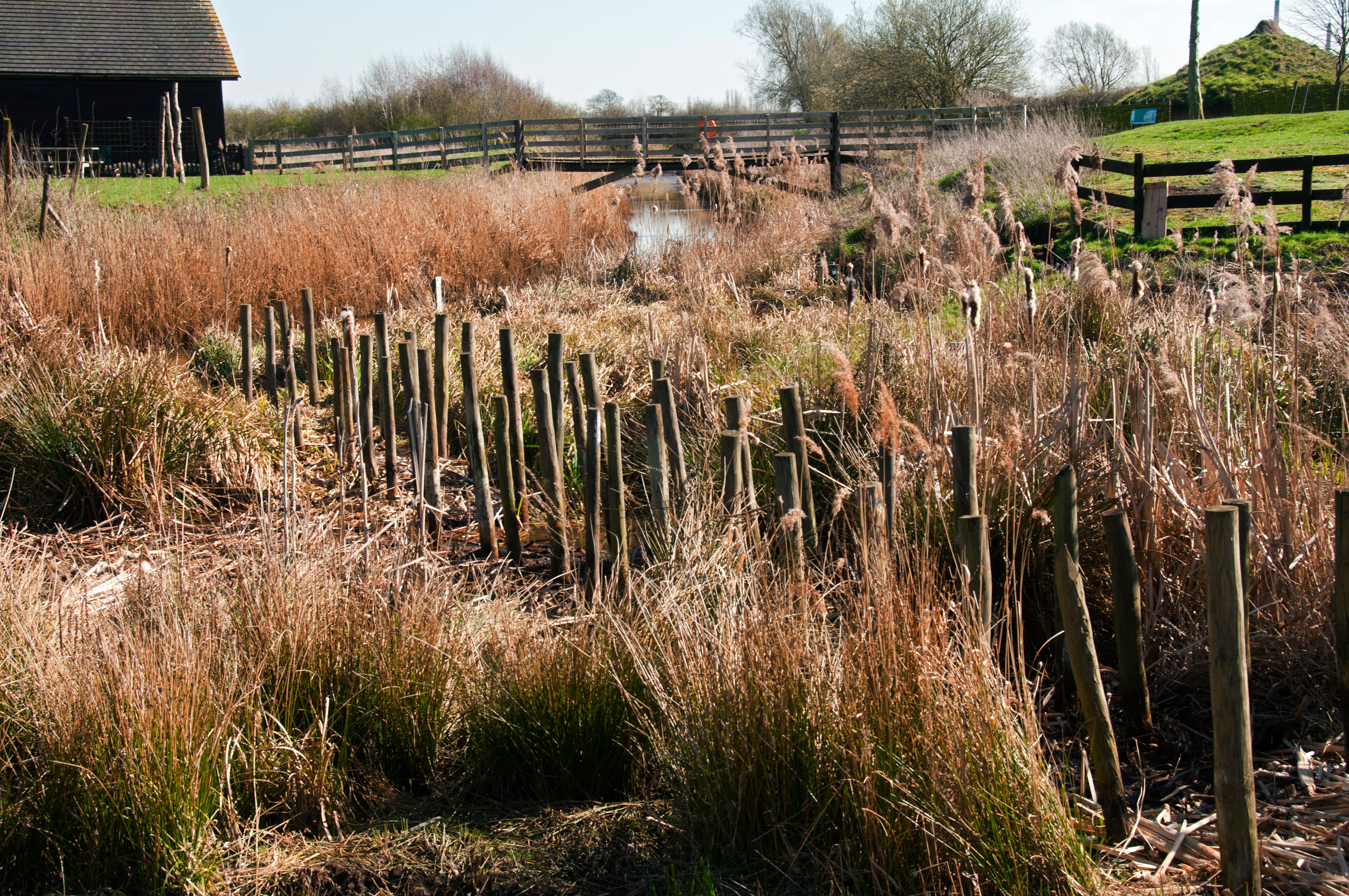 Britain’s Bronze Age past at risk as climate change dries out Flag Fen