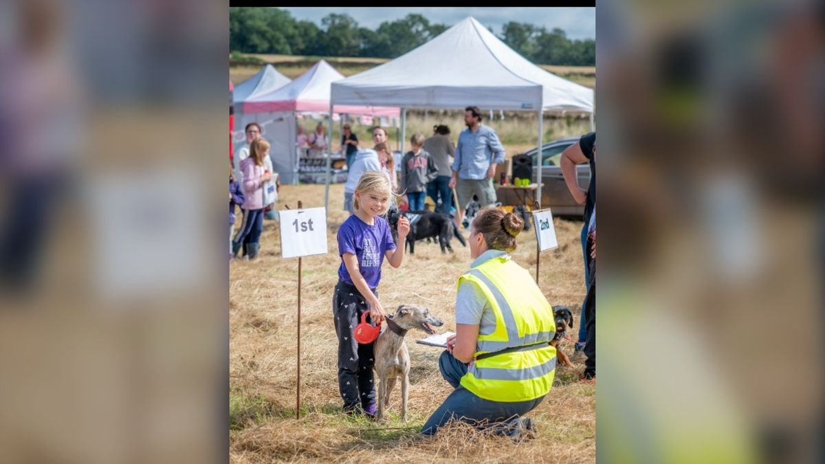 Fun and fur as Ham Hill Dog Show kicks off