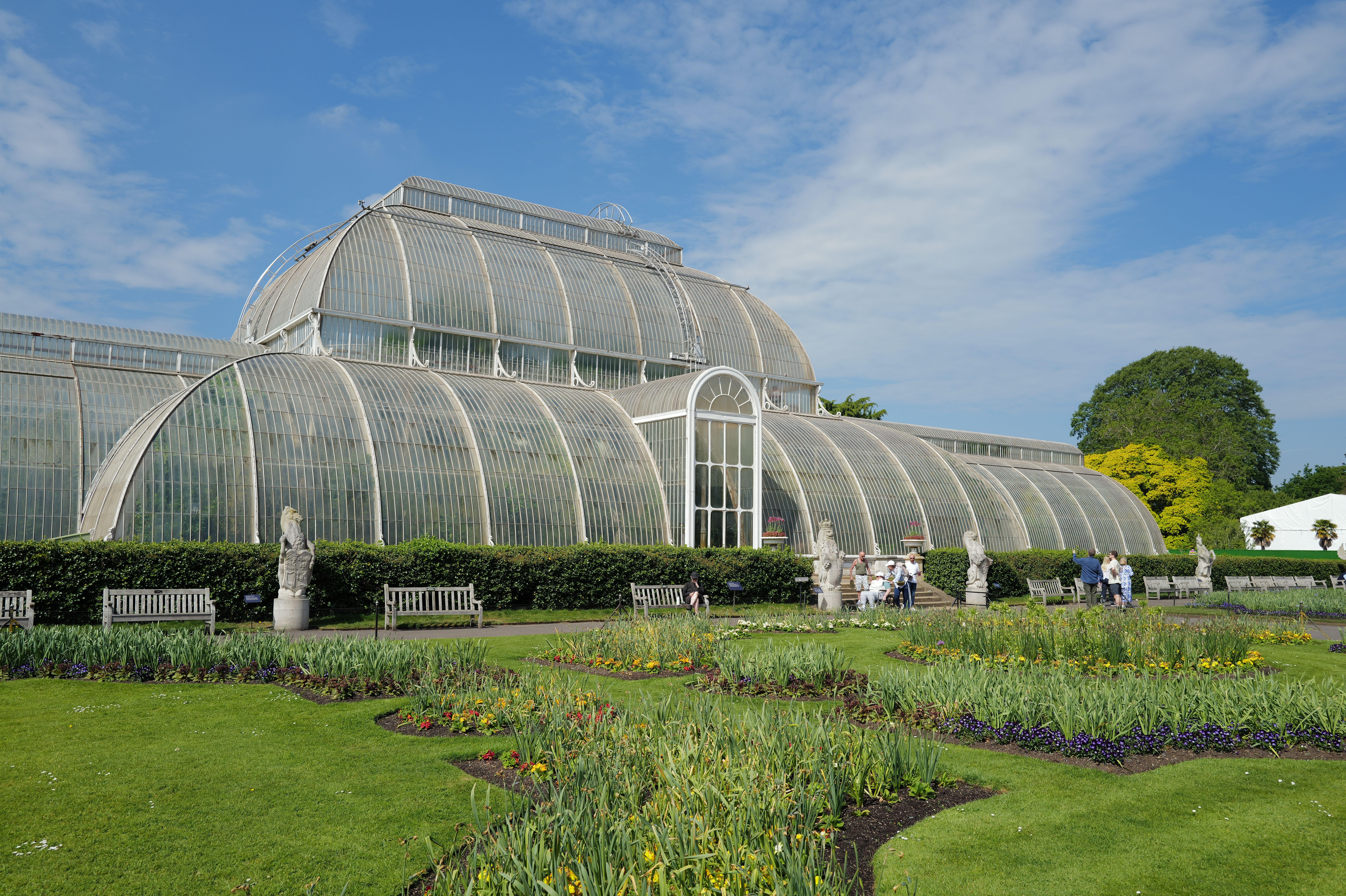 Kew Gardens in public fundraising plea to save historic Palm House