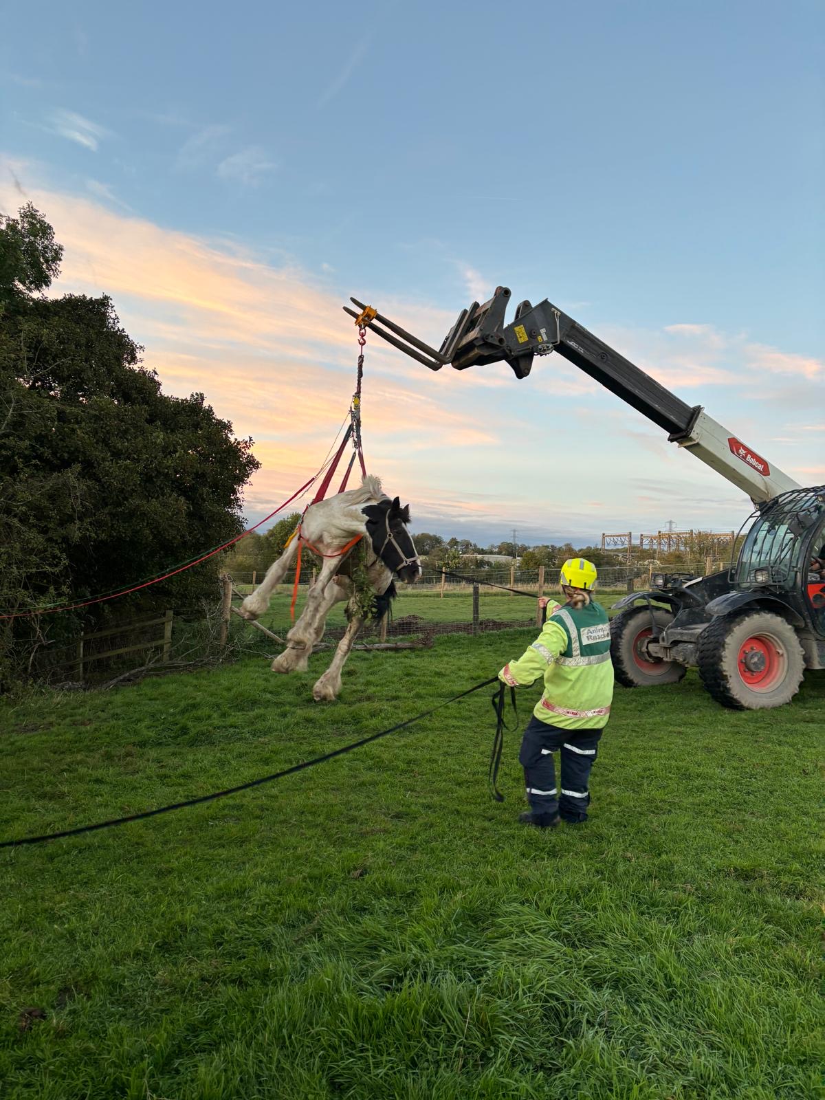 Staffordshire crews rescue horse from ditch | News - Greatest Hits ...