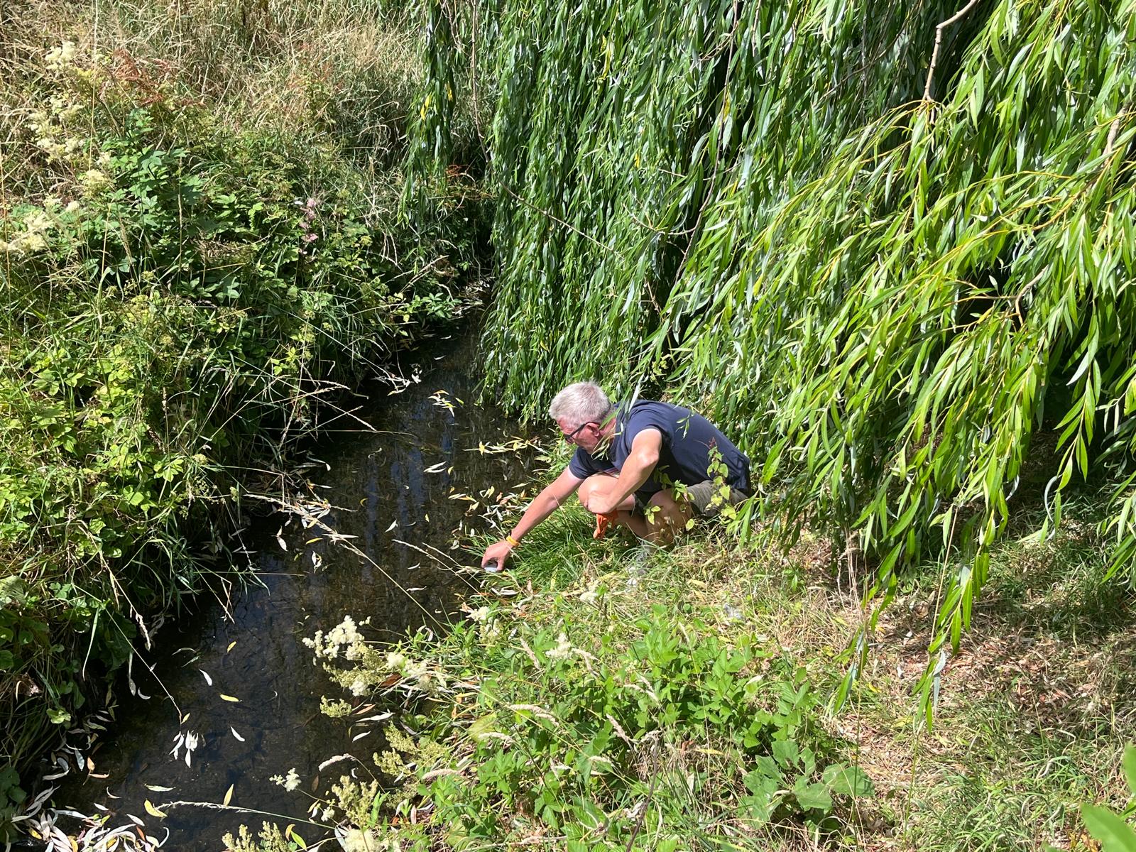 Study reveals 'potentially harmful' levels of metal in rivers and soil ...
