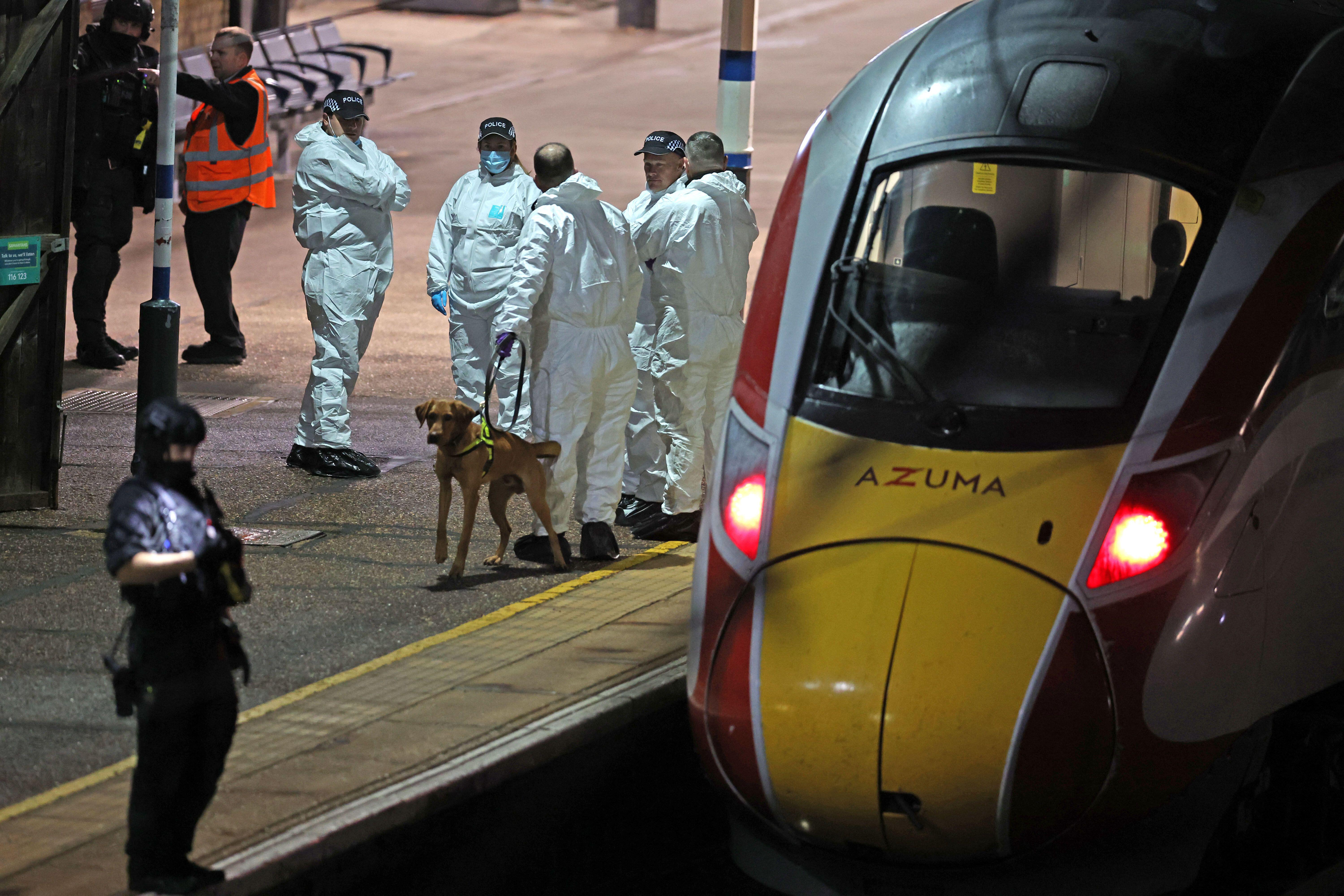 Man pleads guilty to wounding charges after train stabbings in ...