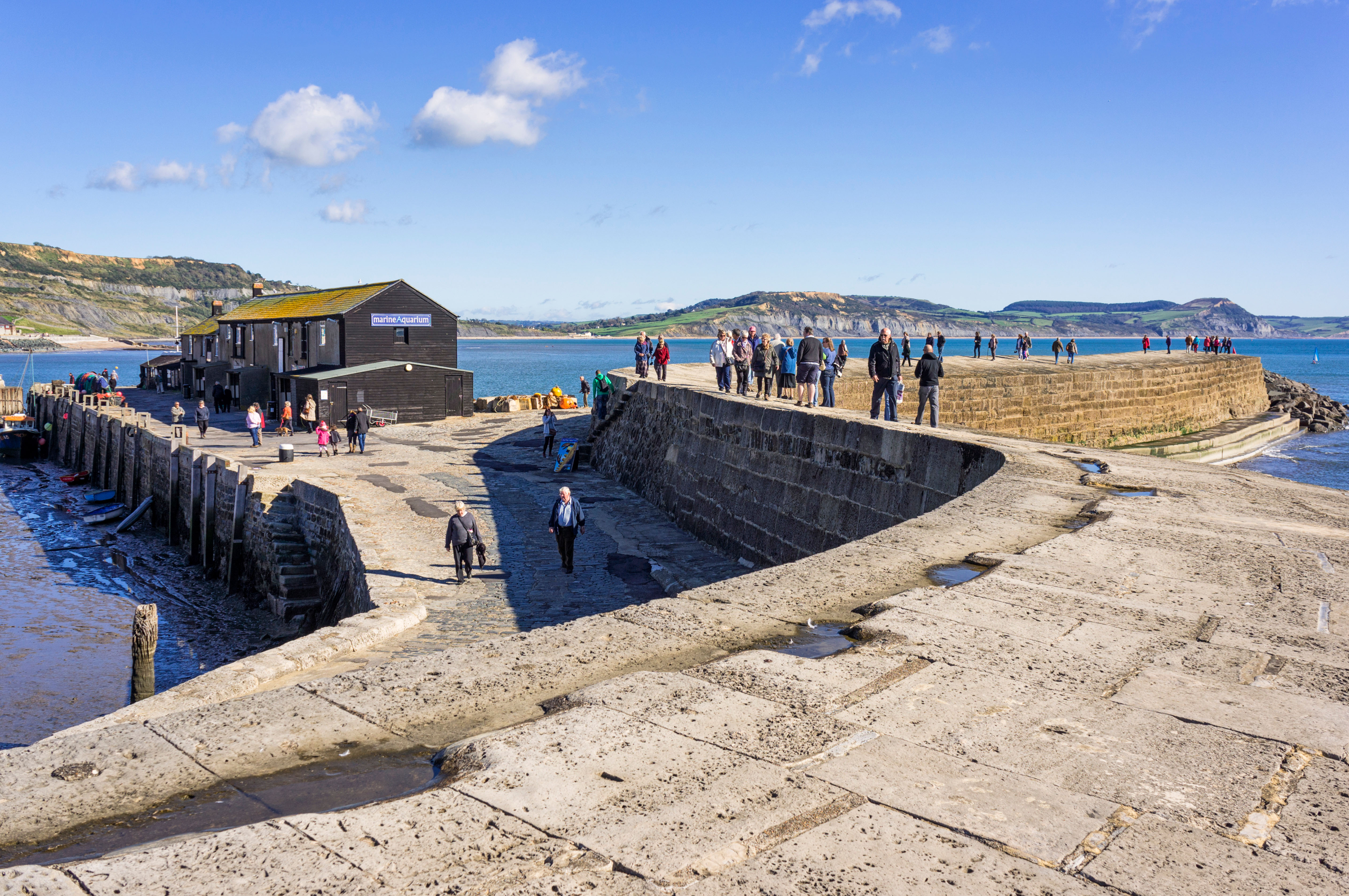 Engineers appointed to help develop plans to protect and strengthen ...