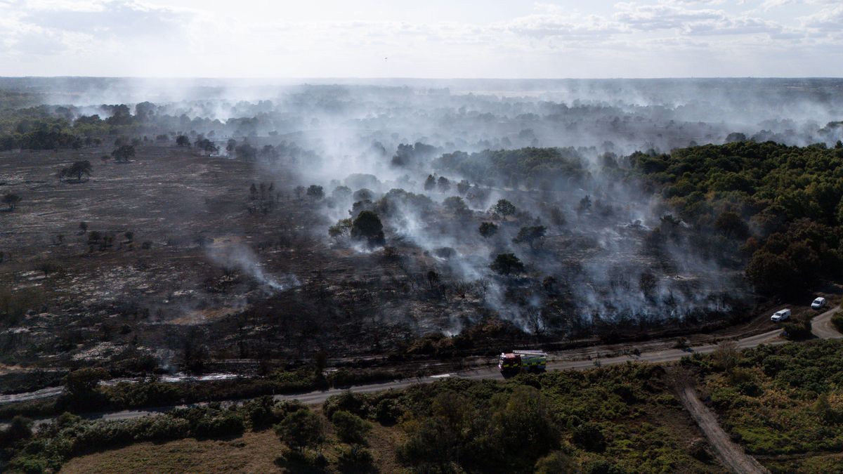 Military aircraft to help tackle wildfires | News - undefined