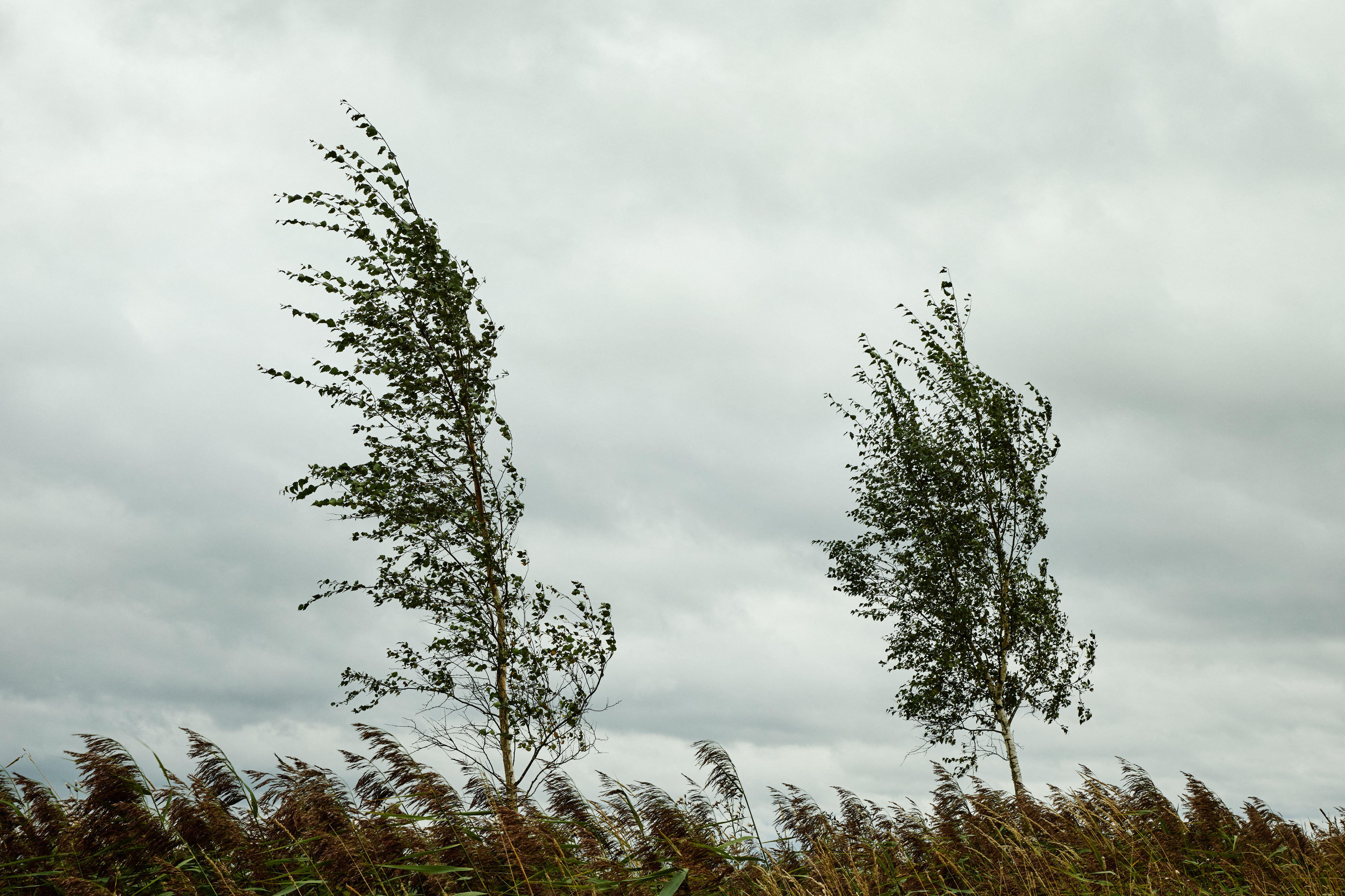Wind warning for parts of South West