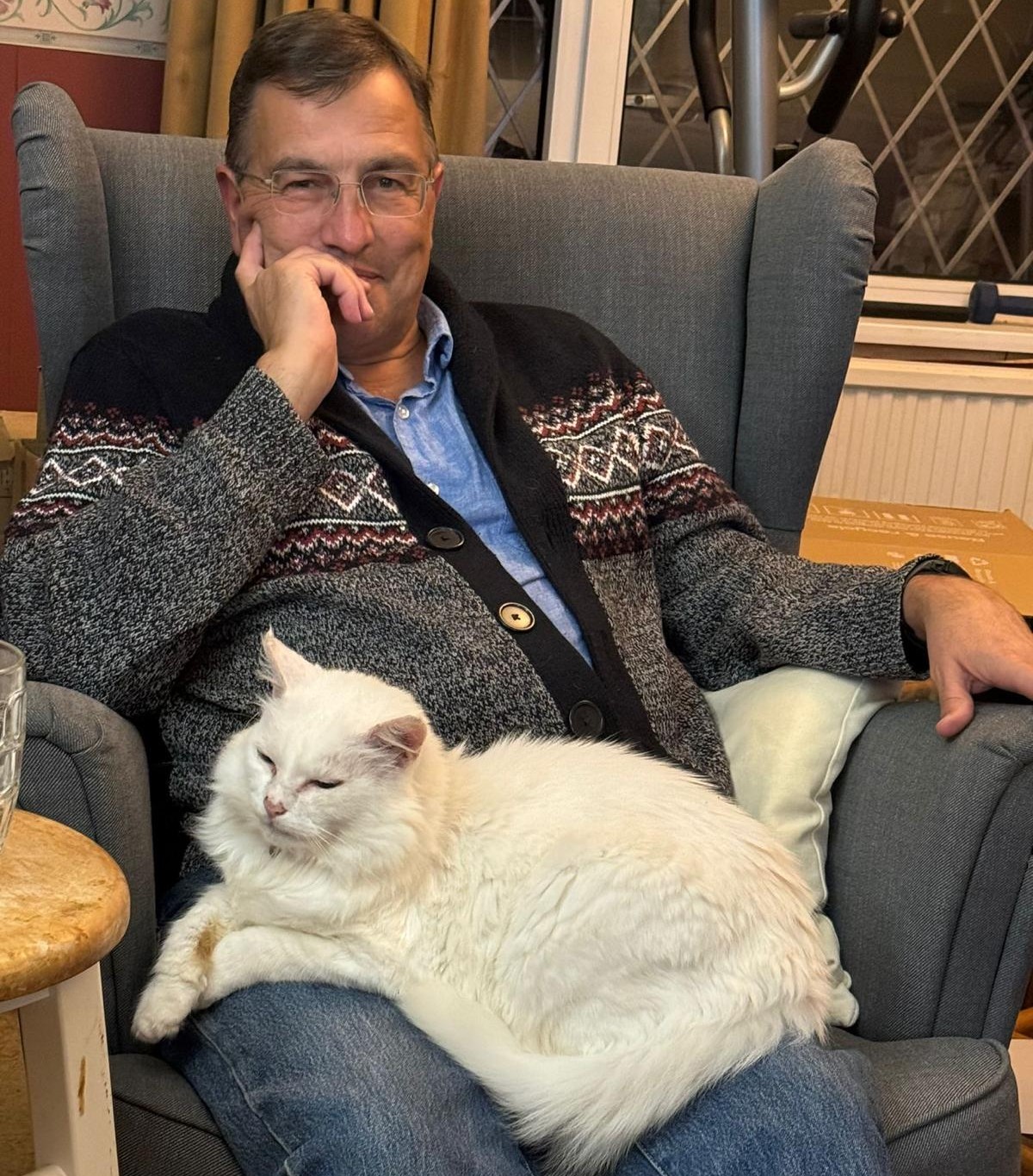 Devon MP calls for action over cat road deaths