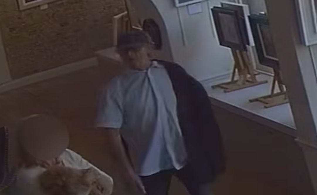Bronze turtle statue stolen from Stamford art gallery
