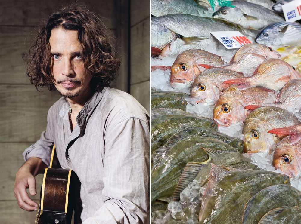 Chris Cornell – Fish Handler