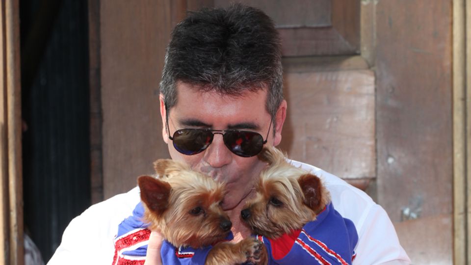 Simo Dog Celebrities who love showing off their furry friends | Trending News ...