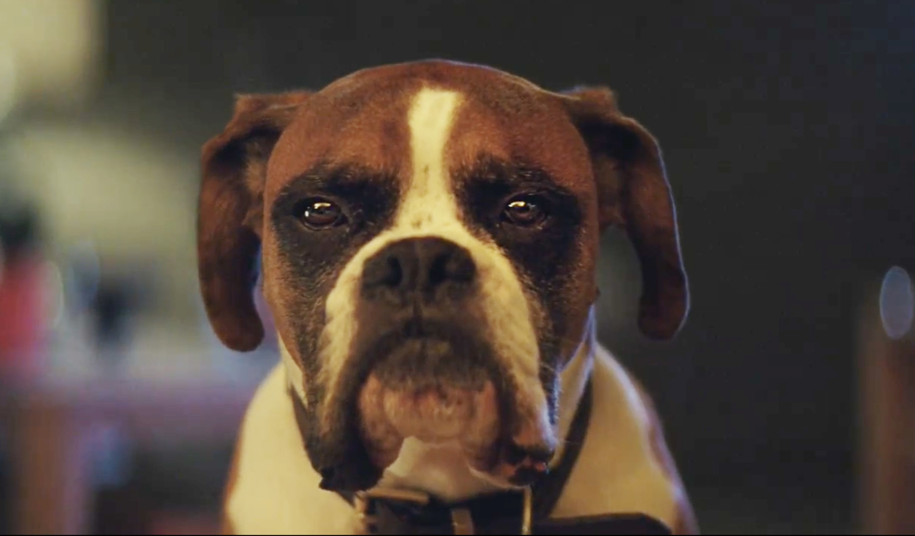 WATCH: The official John Lewis Christmas advert has landed starring ...