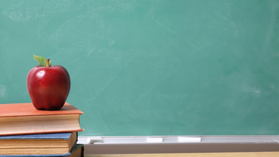 books like the teacher - never lie