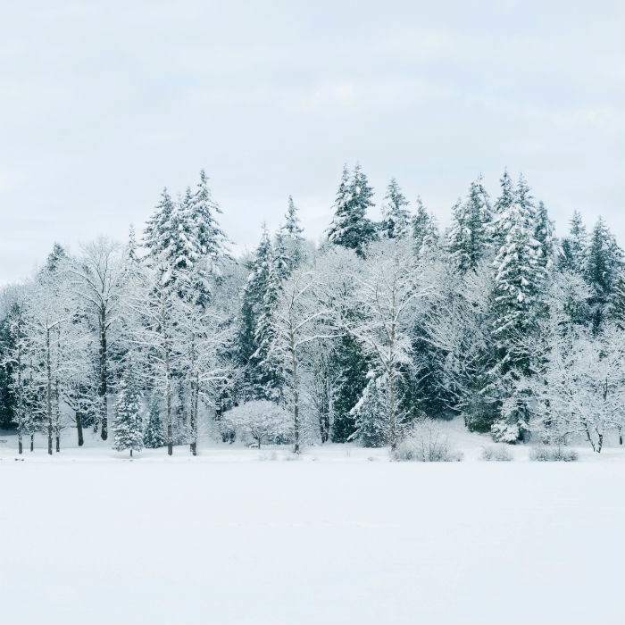 Snow and ice disruption across the North of Scotland | News - MFR