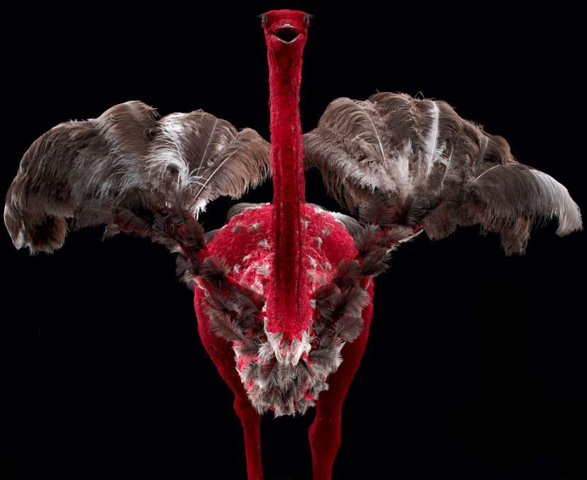 Get under nature’s skin at the Centre for Life | News - Greatest Hits ...