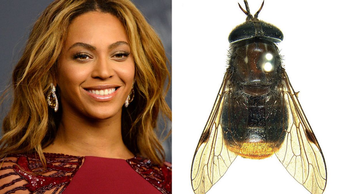 Musicians that have species and plants named after them | Music - Hits ...