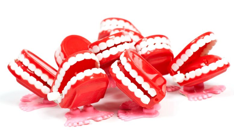 Tooth Retuch 9 things you didn't know about teeth | Health - Downtown Country