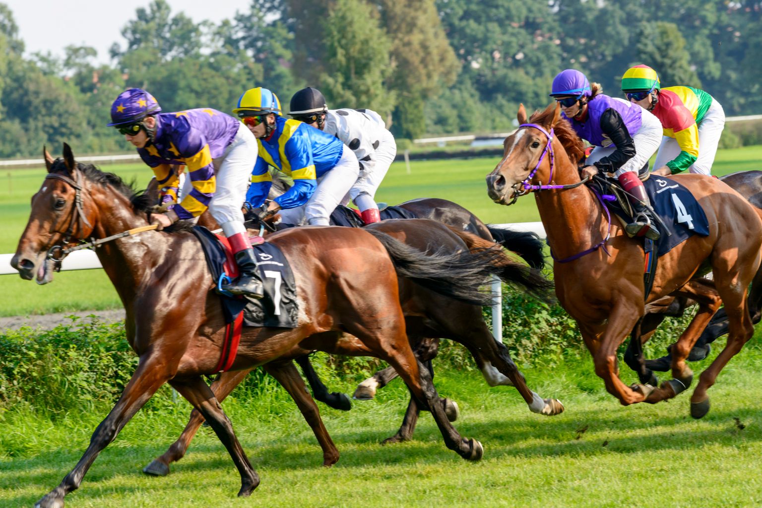 East Yorkshire ex racing specialist admits using job to help win bets
