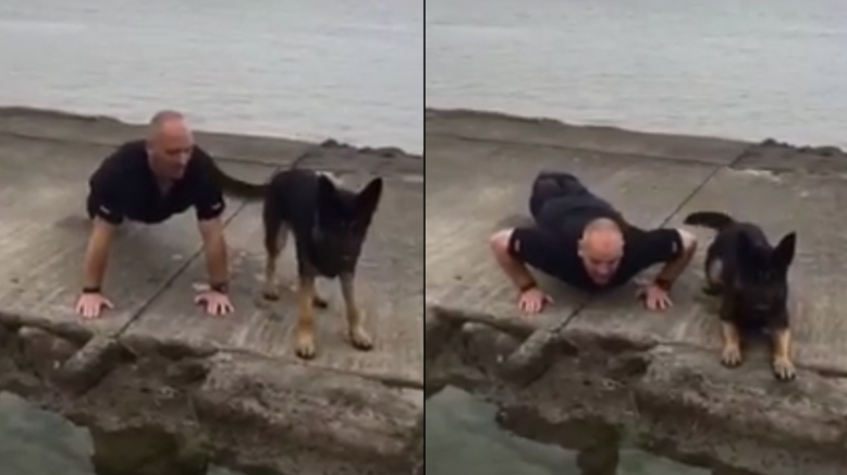 Police dog best sale doing push ups